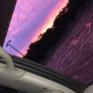 Meet your Posher, Owen